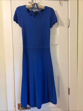 Tahari Cobalt Blue Scallop Neck Midi Dress